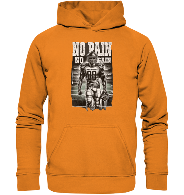 No Pain No Gain - Basic Unisex Hoodie - Amfoo Shop